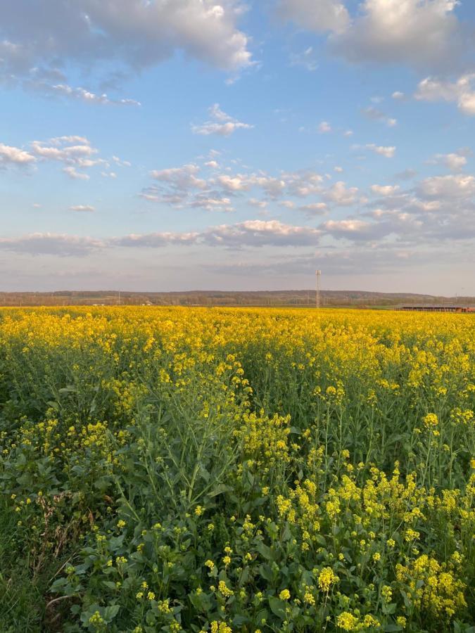 Confortable Duplex Au Coeur De La Campagne Picarde A 1H De Paris Biermont Εξωτερικό φωτογραφία
